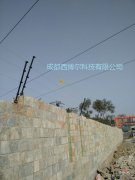 金苹果幼儿园电子围栏案例图
