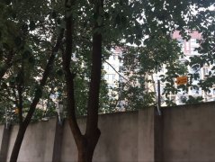 金泉秀岭小区电子围栏示例图片